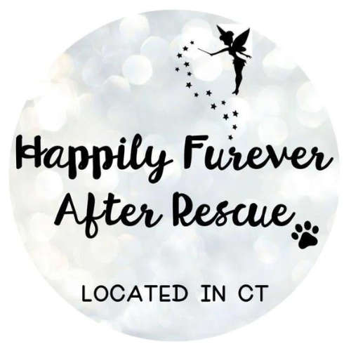 Happily Furever After Rescue located in Connecticut